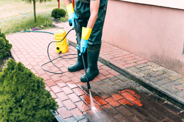 Best Fence Cleaning  in Wellington, FL