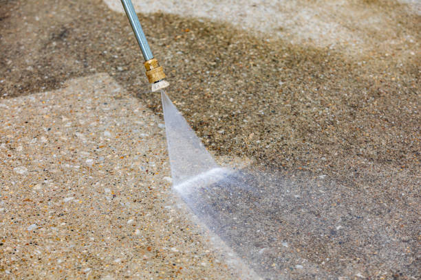 Best Spring Cleaning  in Wellington, FL